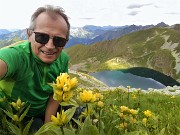 26 Distese di genziana maggiore (Gentiana lutea) sui fianchi del Corno Stella dal Lago Moro 